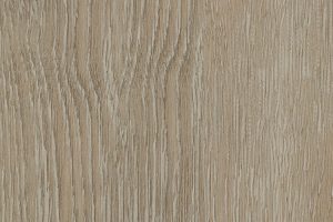 scarlet-oak-50230
